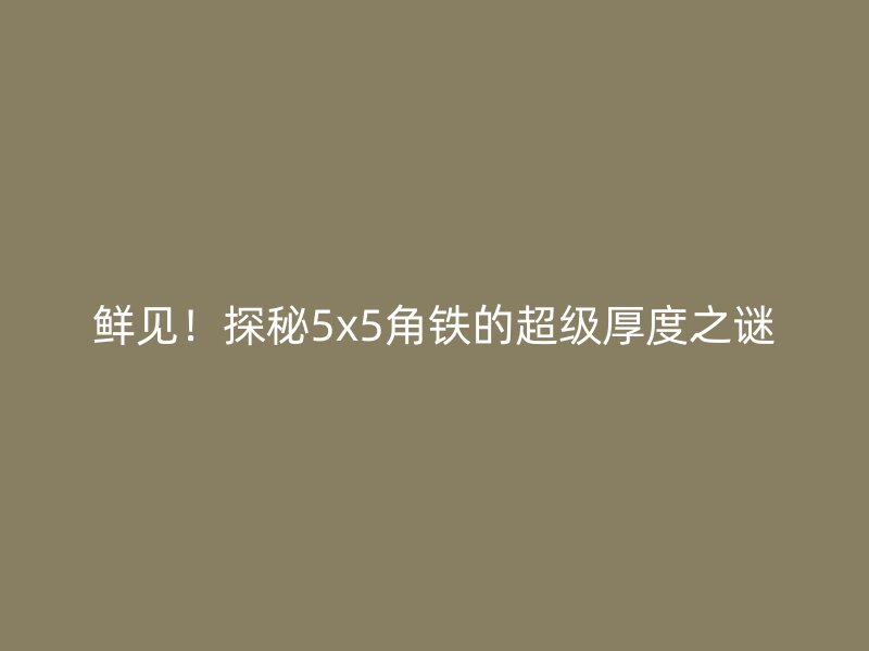 鮮見！探秘5x5角鐵的超級厚度之謎