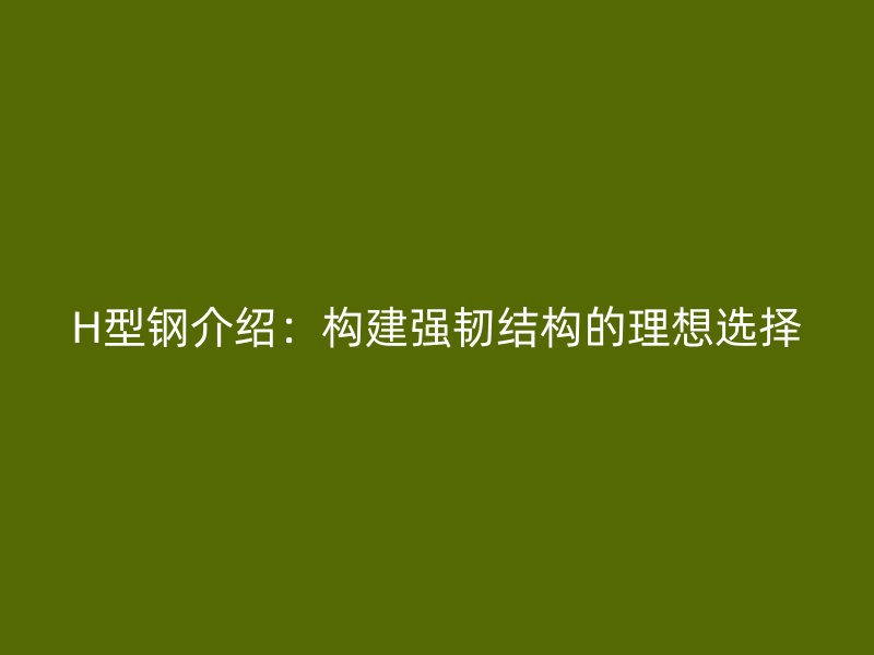 H型鋼介紹：構(gòu)建強(qiáng)韌結(jié)構(gòu)的理想選擇