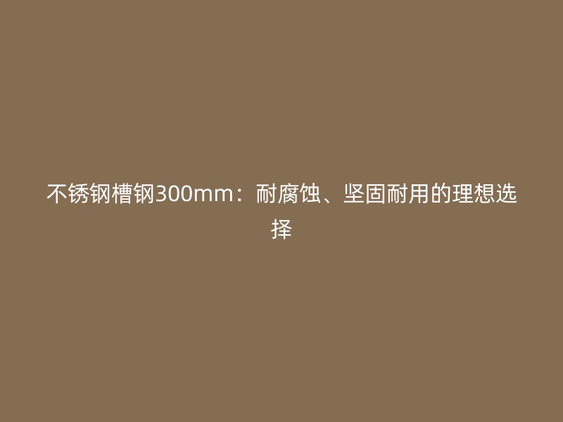 不銹鋼槽鋼300mm：耐腐蝕、堅固耐用的理想選擇