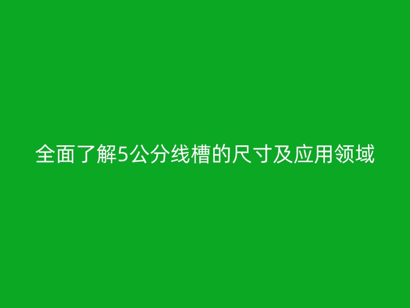 全面了解5公分線槽的尺寸及應(yīng)用領(lǐng)域